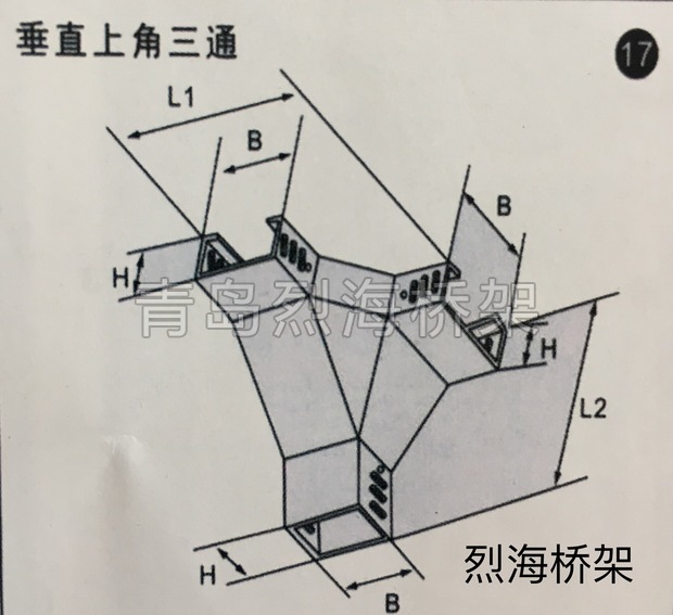 ֱϽͨ